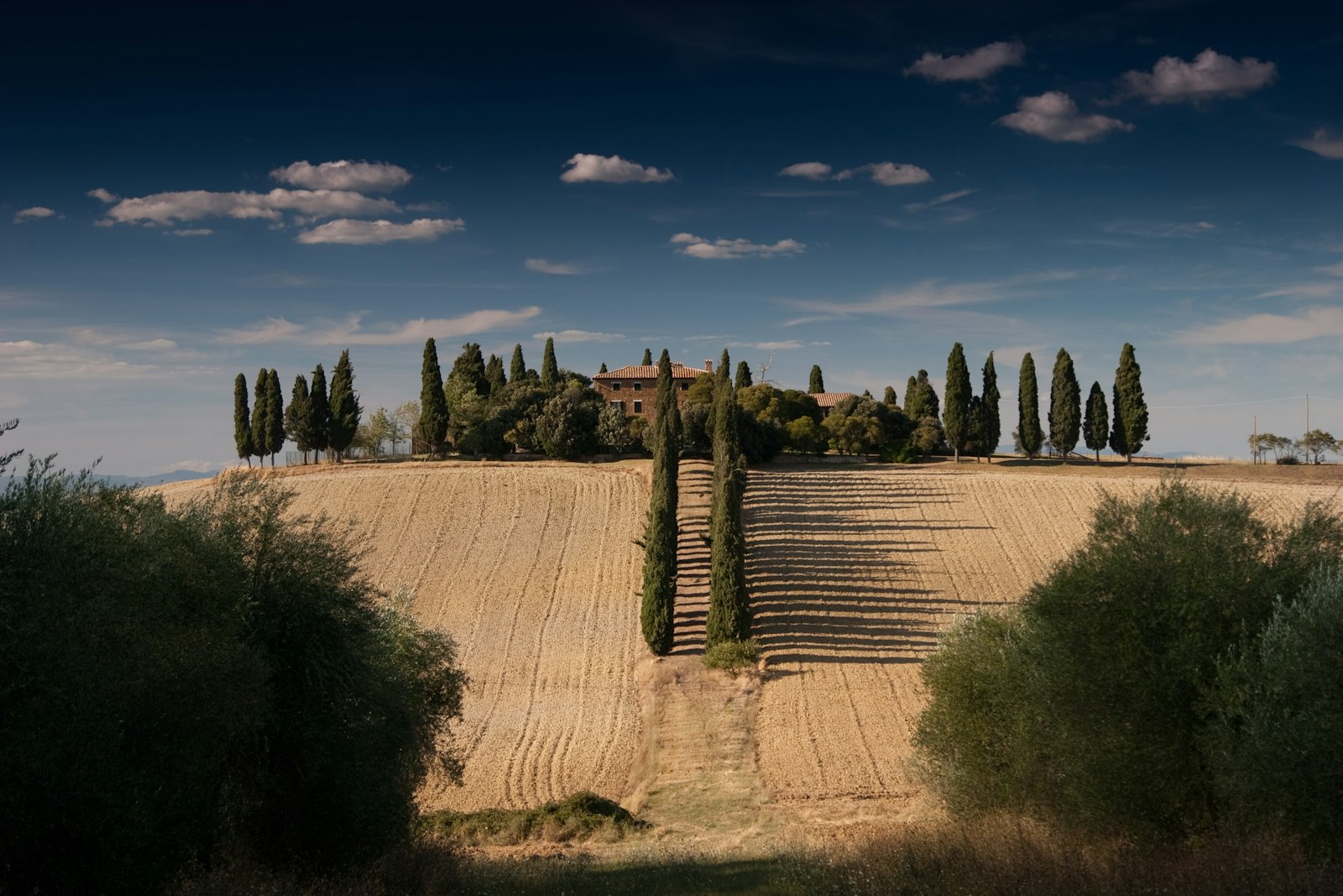 A stone farmhouse ringed by cypress trees on a golden Tuscan hill